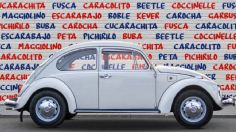 22 de junio: Hoy se celebra el dia mundial del Vochito de Volkswagen
