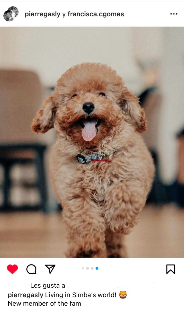 Pierre Gasly y Francisca Gomes