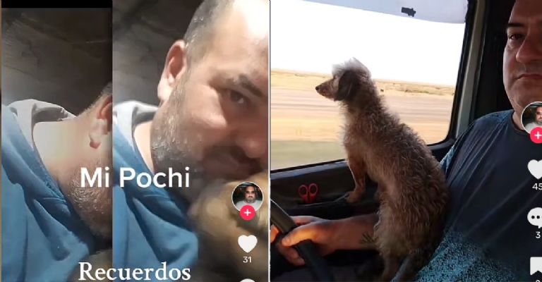 Pochi la perrita camionera