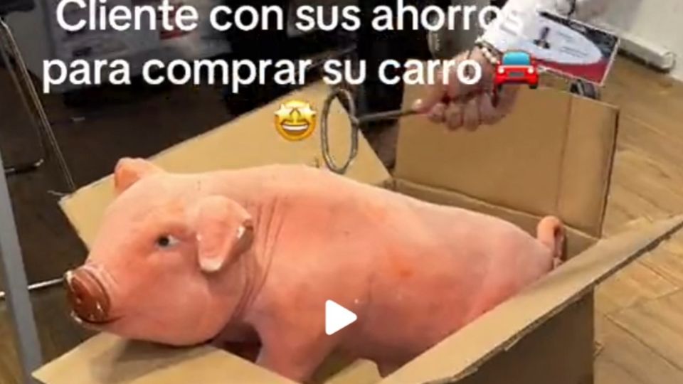 Viral: rompen cochinito para estrenar