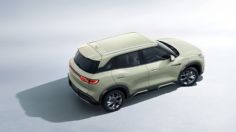 Histórico: BYD, marca de autos eléctricos chinos, ya superó a Tesla en ventas de eléctricos en 2025