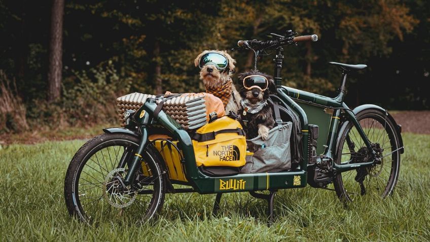 ¿Qué es una bicicleta cargo y para qué sirven?