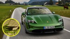 VIRAL: Esta es la extraña relación entre los faros de Xenon con el cultivo de marihuana