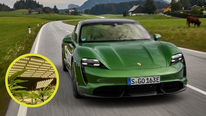 VIRAL: Esta es la extraña relación entre los faros de Xenon con el cultivo de marihuana