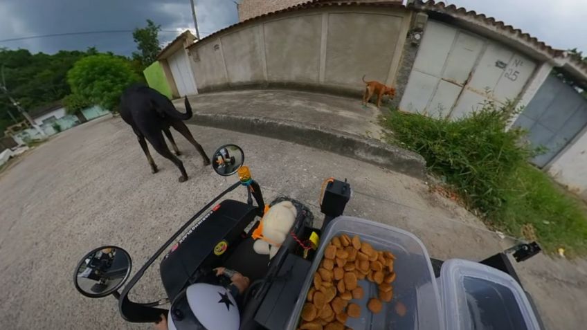 Viral en redes: Un carrito en control remoto reparte comida a los perritos, todo quedó en video