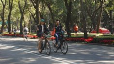 Ecobici CDMX tiene descuentos en membresías anuales para este 2025