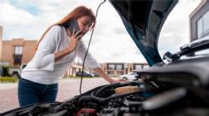 ¿Qué hacer si el auto que compraste presenta fallas después de la entrega?