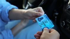 ¿Qué hacer si tu tarjeta de circulación tiene datos incorrectos?