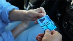 Perdí mi tarjeta de circulación: así puedes reponerla sin tener que acudir presencialmente