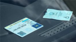 Foto que representa a ¿Qué datos debe incluir una tarjeta de circulación y por qué debes revisarlos antes de manejar?