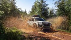 Subaru Forester Wilderness 2026: La marca japonesa ya está pensando en el futuro