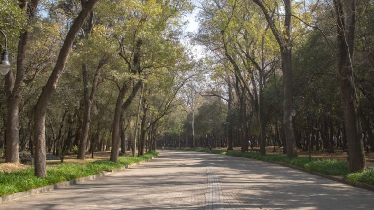 Bosque de Chapultepec