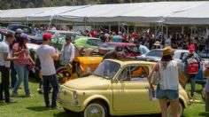 ¡El Gran Concurso de Elegancia comienza este fin de semana!