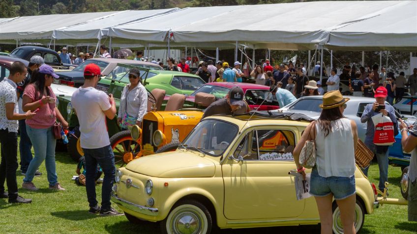 ¡El Gran Concurso de Elegancia comienza este fin de semana!