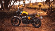 ¿Cuál es el precio de la Royal Enfield Bear 650? Una nueva moto scrambler que ya se vende en México