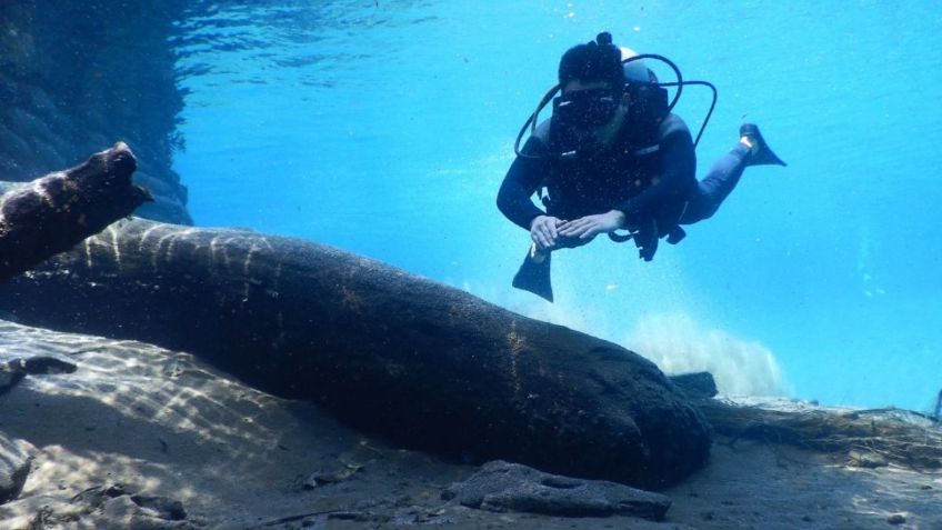 Semana Santa: 3 destinos fuera de la CDMX que puedes llegar con transporte público