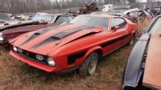 ¡Hay un deshuesadero lleno de Mustangs! Es una tristeza ver tantos muscle cars en ese estado