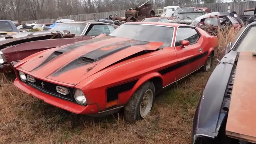 ¡Hay un deshuesadero lleno de Mustangs! Es una tristeza ver tantos muscle cars en ese estado