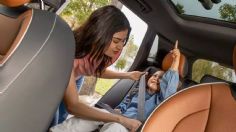 Ranking de marcas con más ventas en el sector de volumen