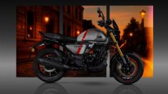 Motocicleta TVS Ronin Edición Especial: Hay 50 unidades en México