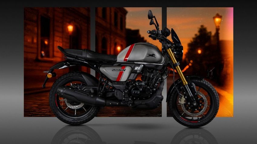 Motocicleta TVS Ronin Edición Especial: Hay 50 unidades en México