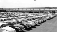 Vocho Fest 2025: Ediciones especiales que son poco conocidas