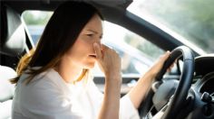 ¿Qué hacer si tu auto huele a humedad? Posibles causas y soluciones