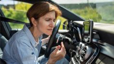 ¿Por qué puede oler a gasolina dentro del auto?