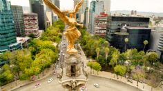 ¿Cómo tomar glorietas o rotondas en CDMX sin cometer errores?