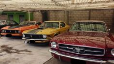 Ford Mustang: Por esto es de los autos más deseados por los entusiastas de autos en México y tiene clubes de coleccionistas