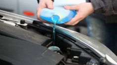 ¿Cuántos tipos de anticongelantes existen, precios y dónde comprarlos?