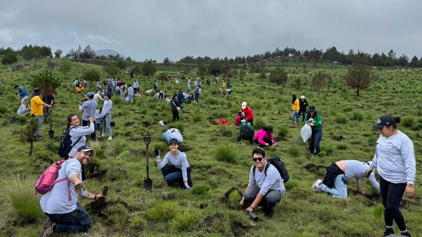 Nissan hizo una reforestación el pasado domingo 27 de julio en la zona de Tianguistenco-Xalatlaco