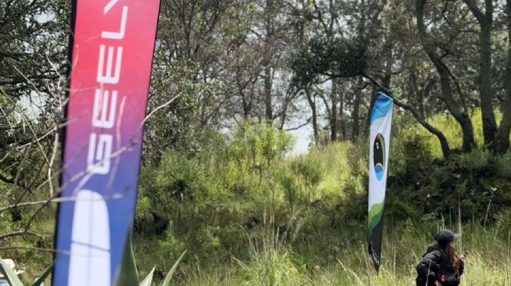 Geely impulsa la sustentabilidad con reforestación y movilidad eléctrica en México