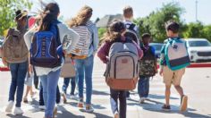 ¿Cómo identificar y respetar las zonas de cruce escolar al manejar?