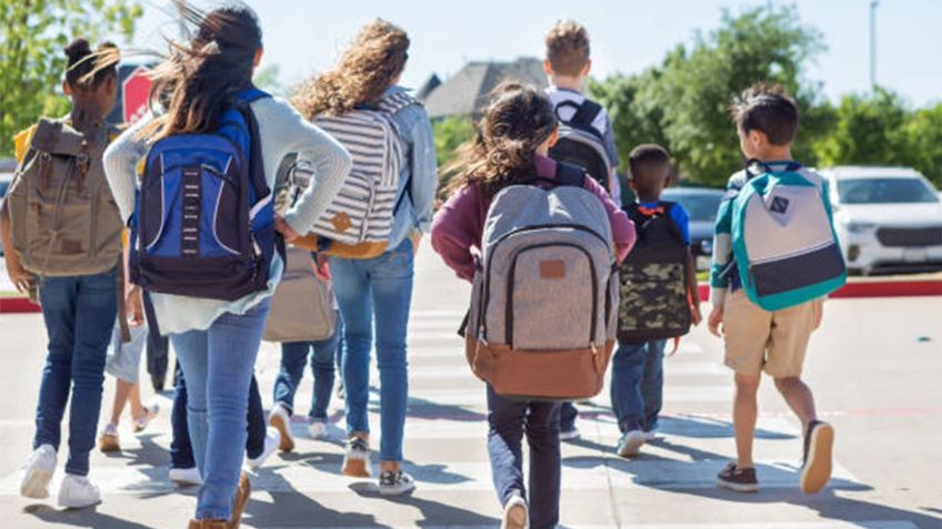 ¿Cómo identificar y respetar las zonas de cruce escolar al manejar?