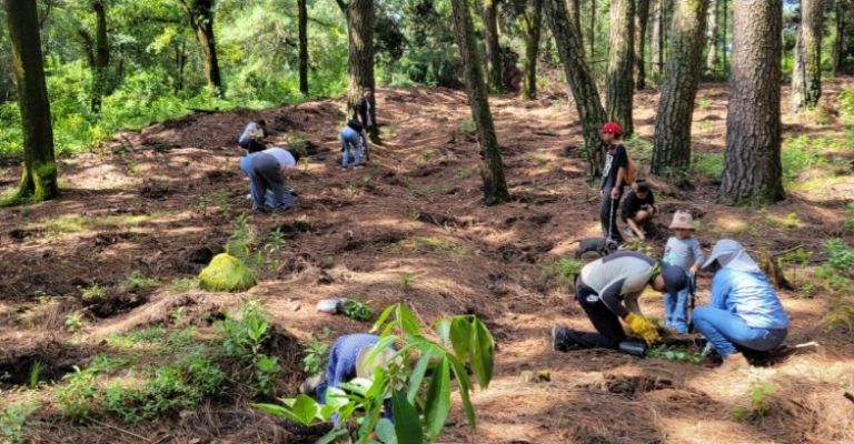 Bridgestone, iniciativa