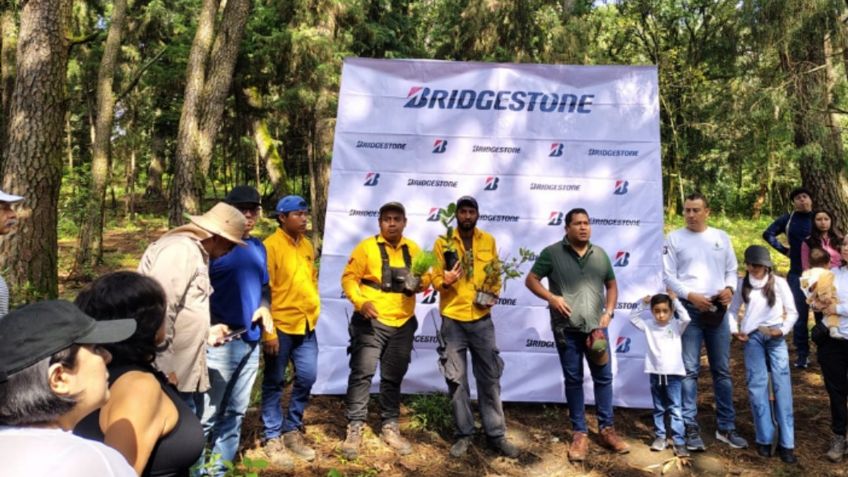 Bridgestone, con impulso a la reforestación del Bosque de Ahuatepec