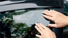 Tipos de polarizado para vidrios de autos