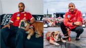 Foto ilustrativa de la nota titulada: Lewis Hamilton se despide de su mejor amigo Roscoe: “Tomé la decisión más difícil de mi vida”
