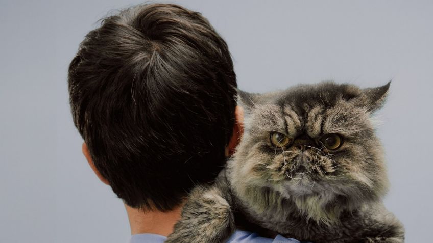 Roscoe Hamilton y otras mascotas que conquistaron la F1