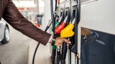 ¿Cómo influye el tipo de combustible en la vida útil del motor?