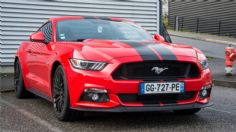 ¿También son therians? 10 famosos autos con nombres de animales