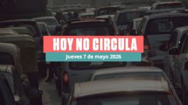Foto que representa a Hoy No Circula para este 7 de mayo 2026: CDMX y Edomex, estos son los autos que descansan